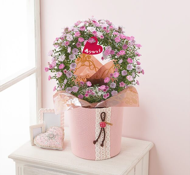 母の日　鉢植え「可憐なピンクのツルバラリース」