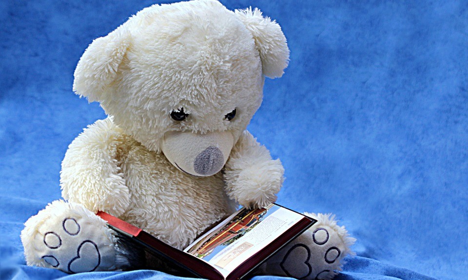 本を読むクマ